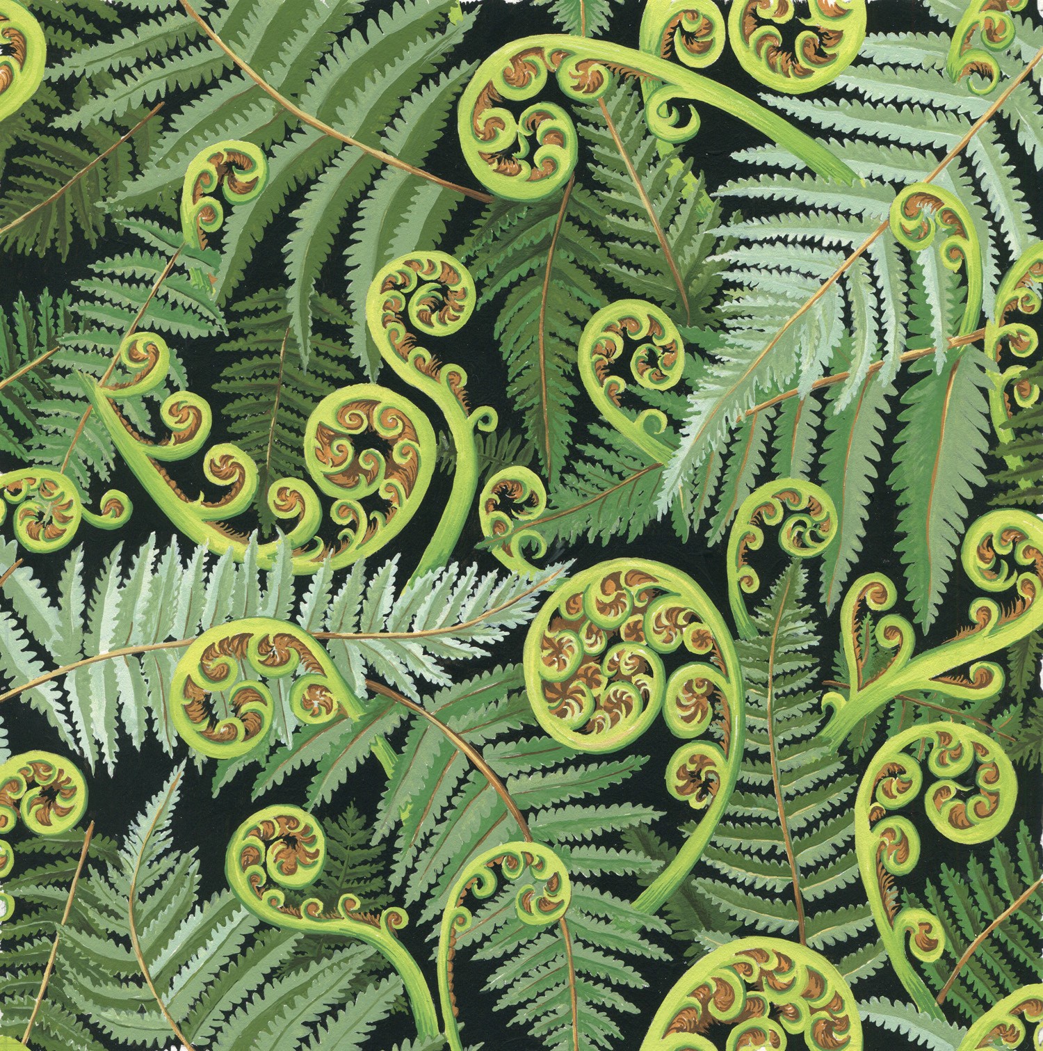 Koru Frond